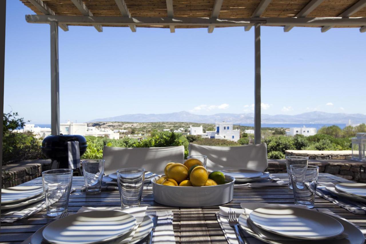 Kallisti Daphne - Gorgeous Villa - An Oasis For 8 People Naousa  Exterior foto